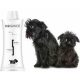 Biogance Dark Black  Sampon fekete, illetve sötét szőrű kutyák és macskák számára 250 ml